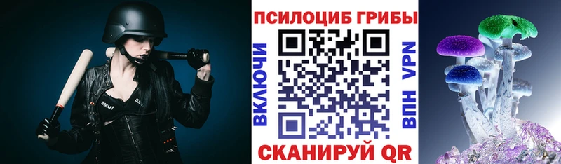 Псилоцибиновые грибы Magic Shrooms  купить наркотики цена  Калуга 
